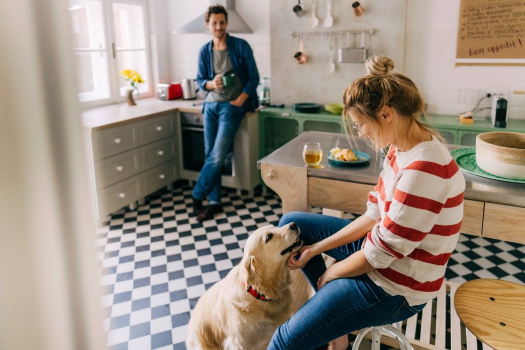 Rules on pets and condos - Multi-Prêts Mortgages