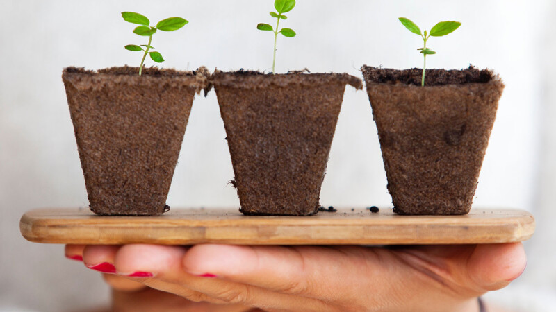 How to maintain an indoor garden at home | Multi-Prêts Mortgages