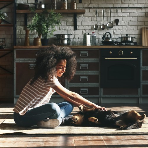 What is CMHC insurance? - Multi-Prêts Mortgages