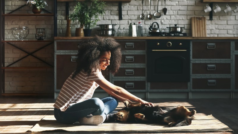 What is CMHC insurance? - Multi-Prêts Mortgages