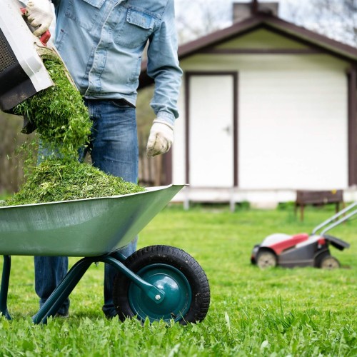 How to properly care for your lawn - Multi-Prêts Mortgages